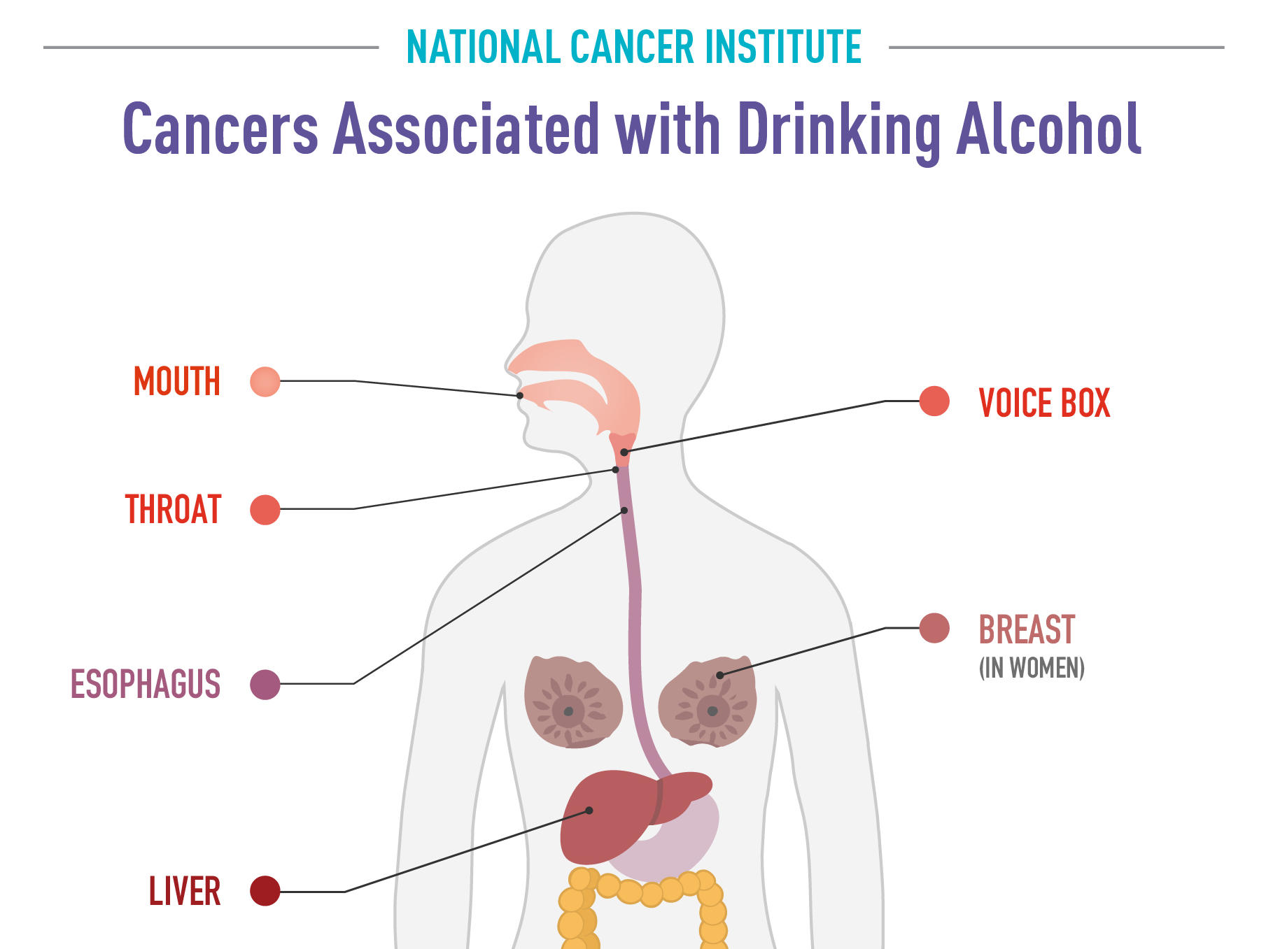 Alcohol Cancer Risk: Expert Insights