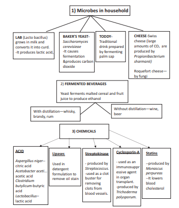 Career Guide 12Th Pass Student Science Biology Flow Chart Student Apps