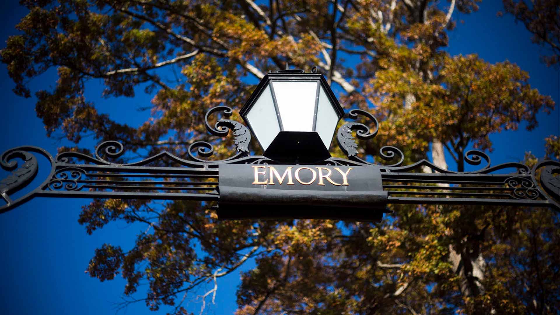 Cost Of Emory