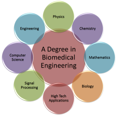 Daily Life Second Major Biomedical Engineering Biomedical