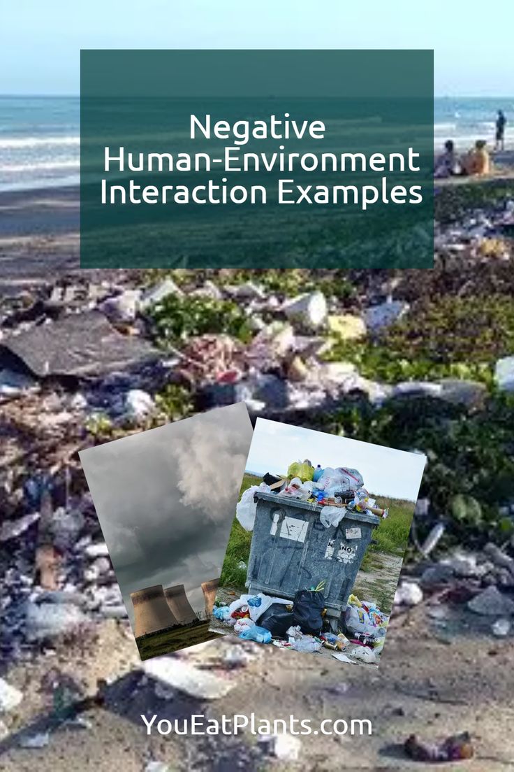 Human Environment Interaction Examples