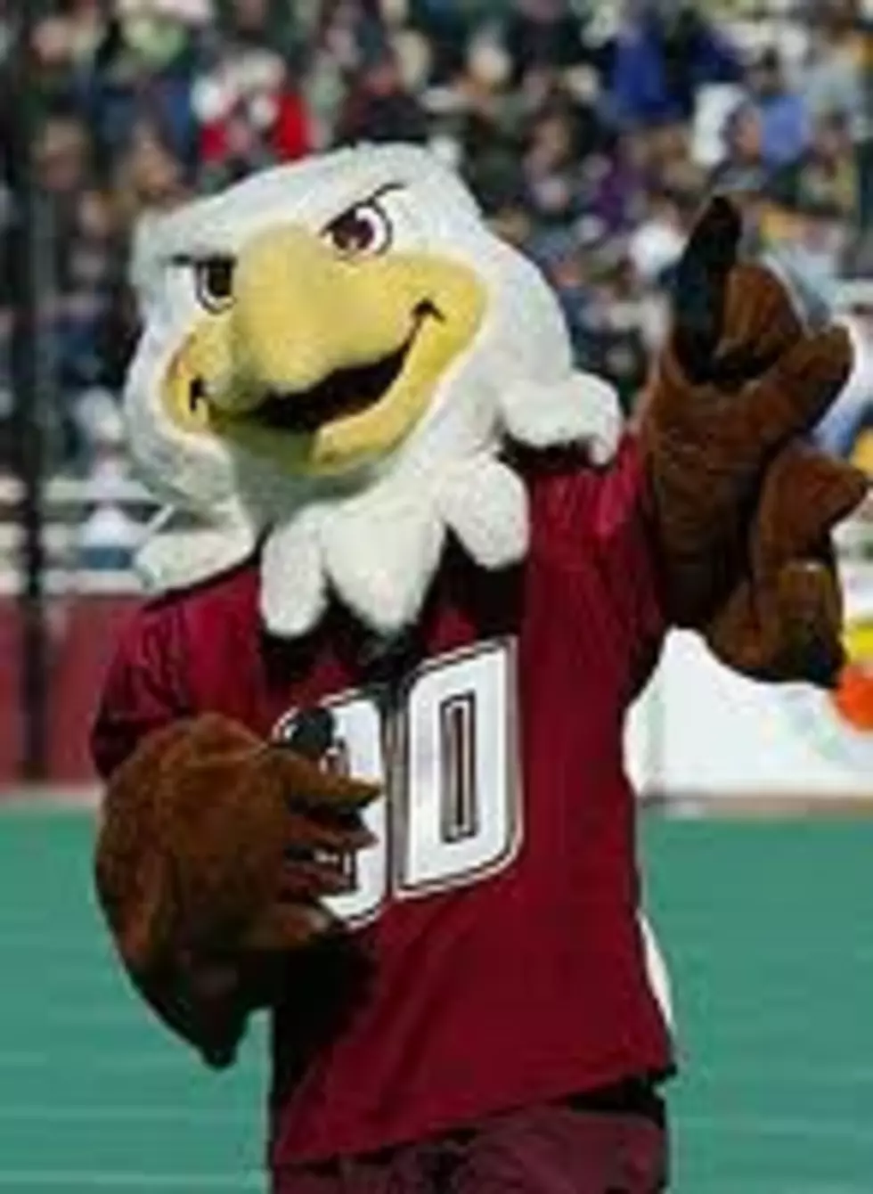 Mascot Of Boston University