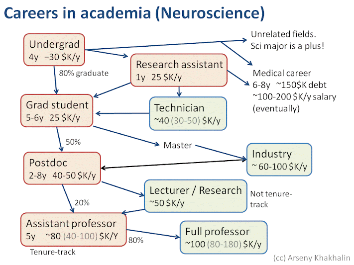 Neuroscience Avout Slide Careers In Academic Neuroscience Flowchart