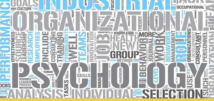 Phd Organizational Psychology: Career Boost