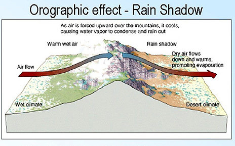 Rain Shadow Effect Explained: Climate Impact