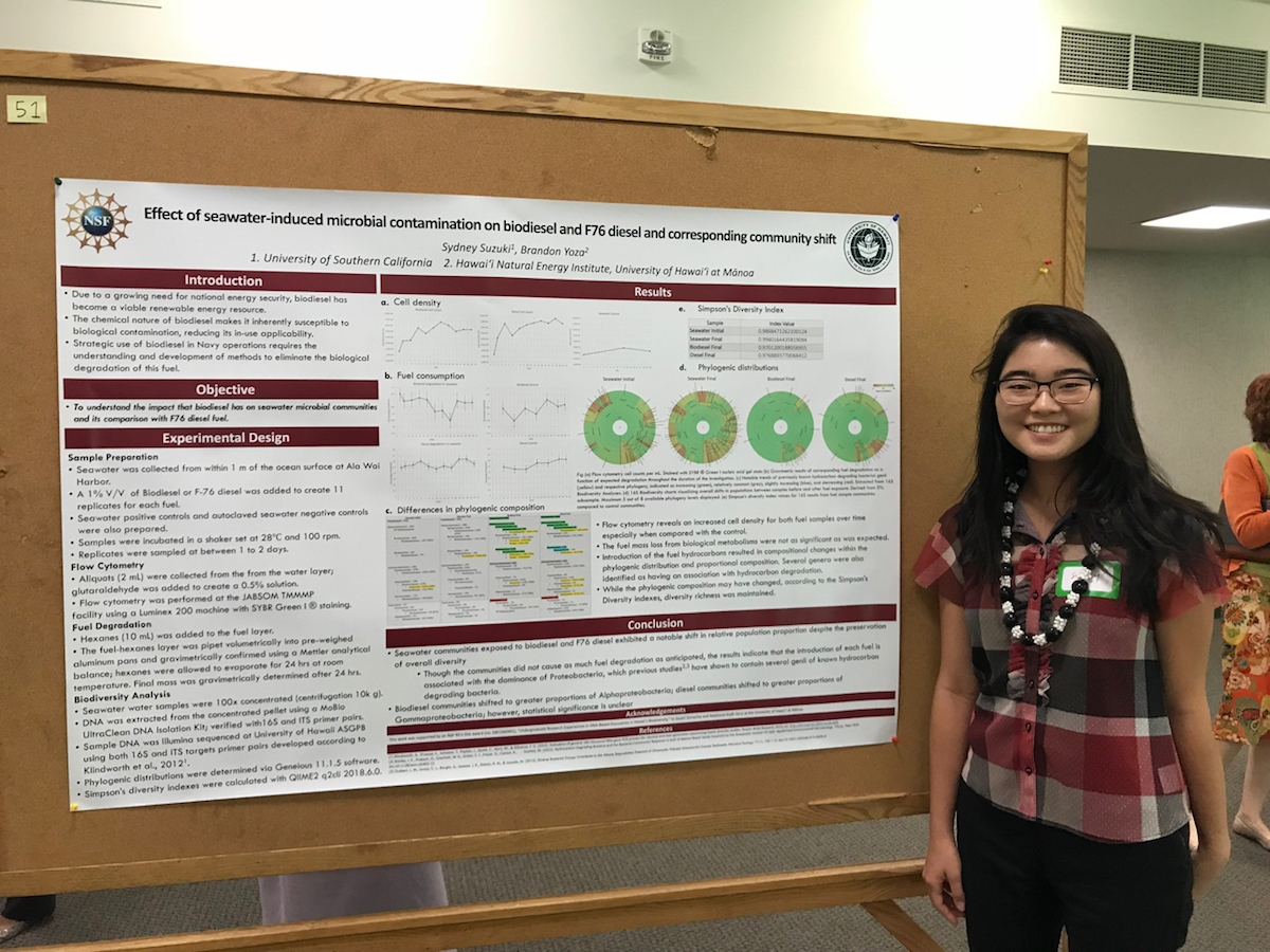 Summer Undergraduate Research Experience