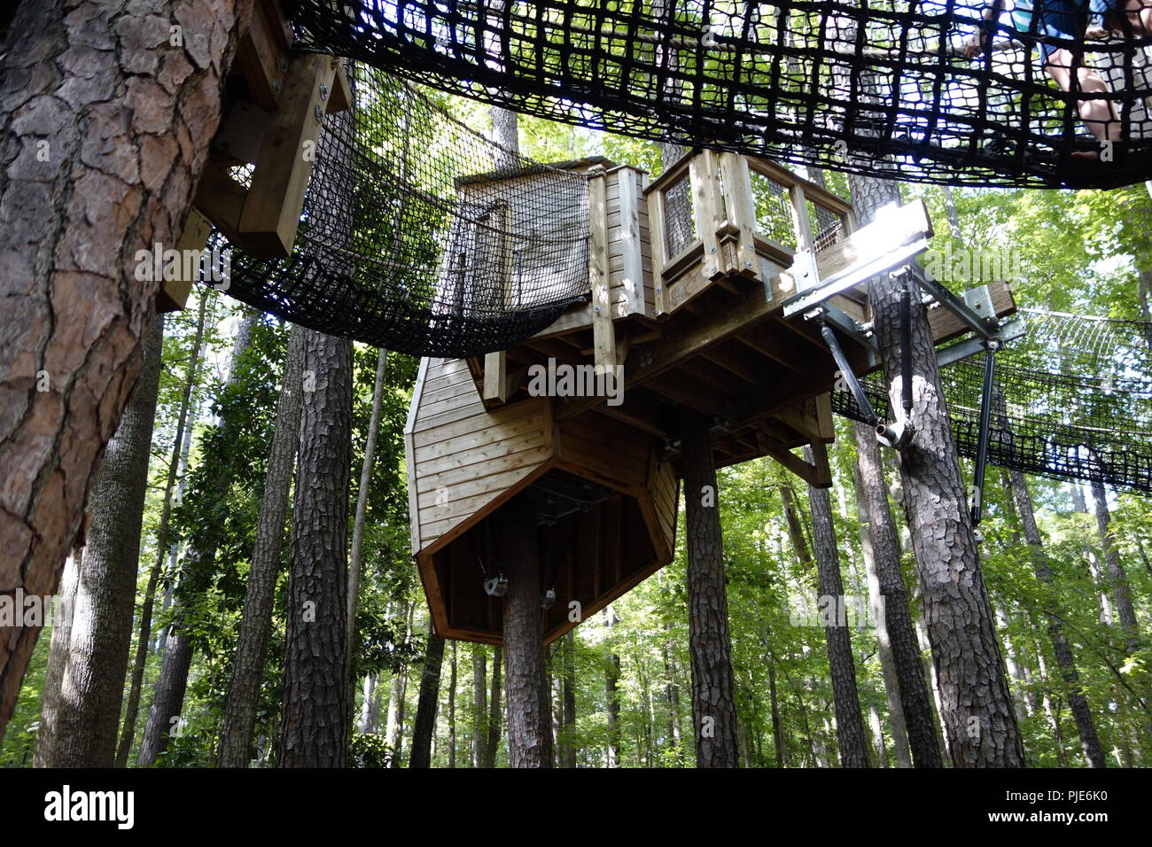 Tree House Durham Life Science Museum Stock Photo Alamy