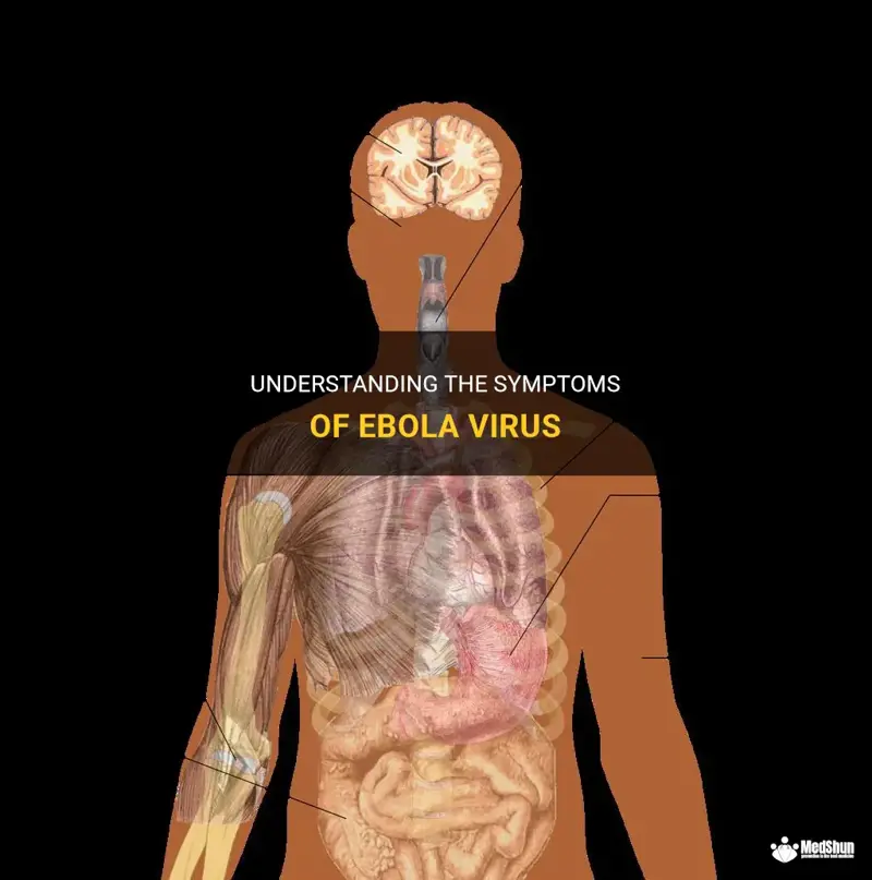 Understanding The Symptoms Of The New Virus Spreading Rapidly Medshun