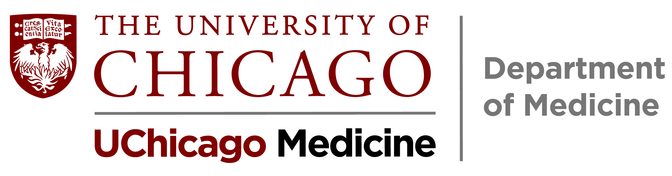 University Of Illinois Chicago Department Of Medicine 2021 2022