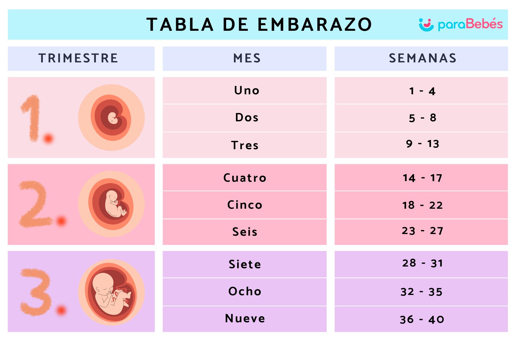 What Happens 20 Semanas De Embarazo?