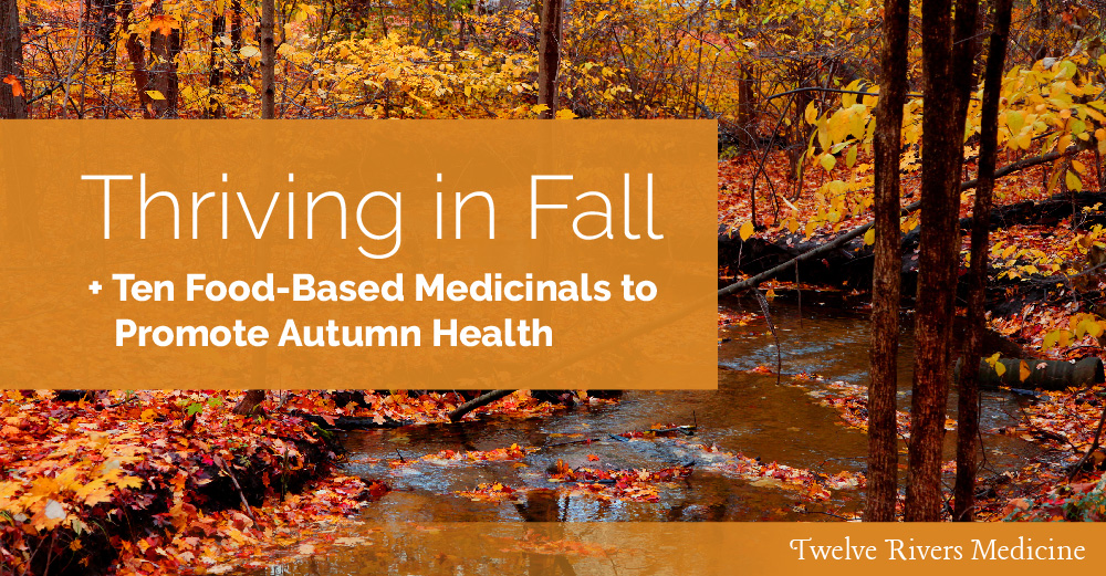 What Happens On 1St Day Of Fall? Seasonal Transition Tips