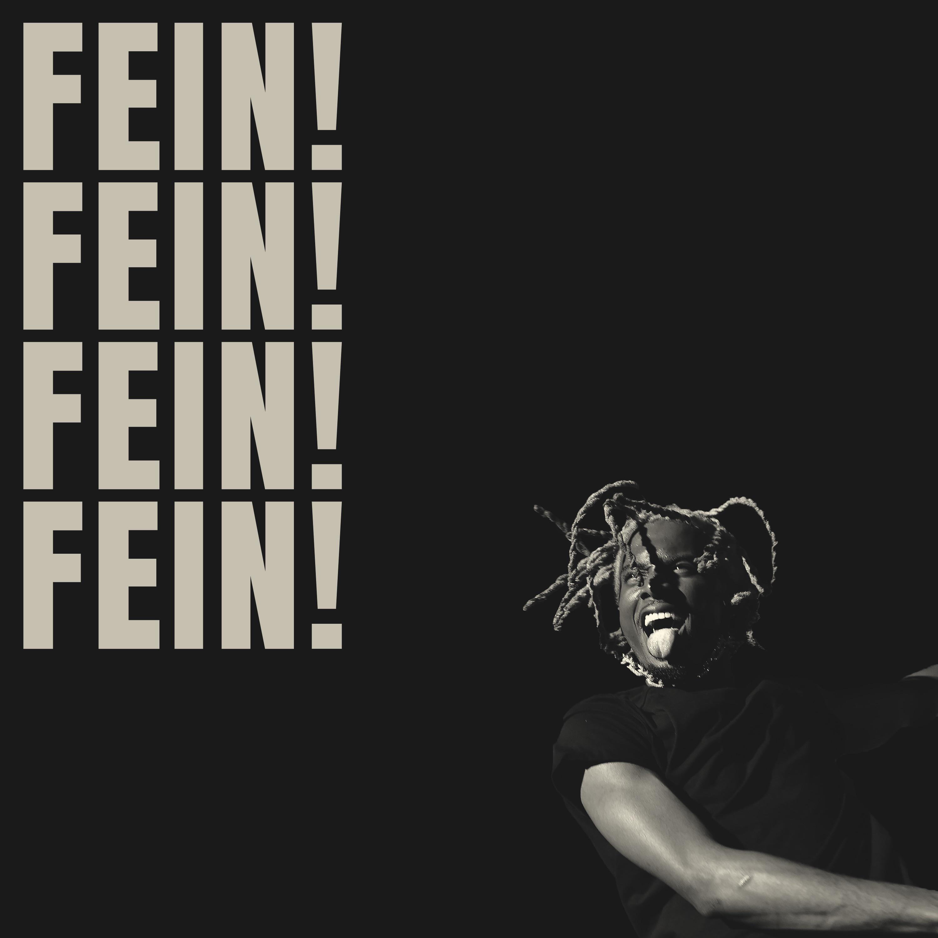 What Is A Fein