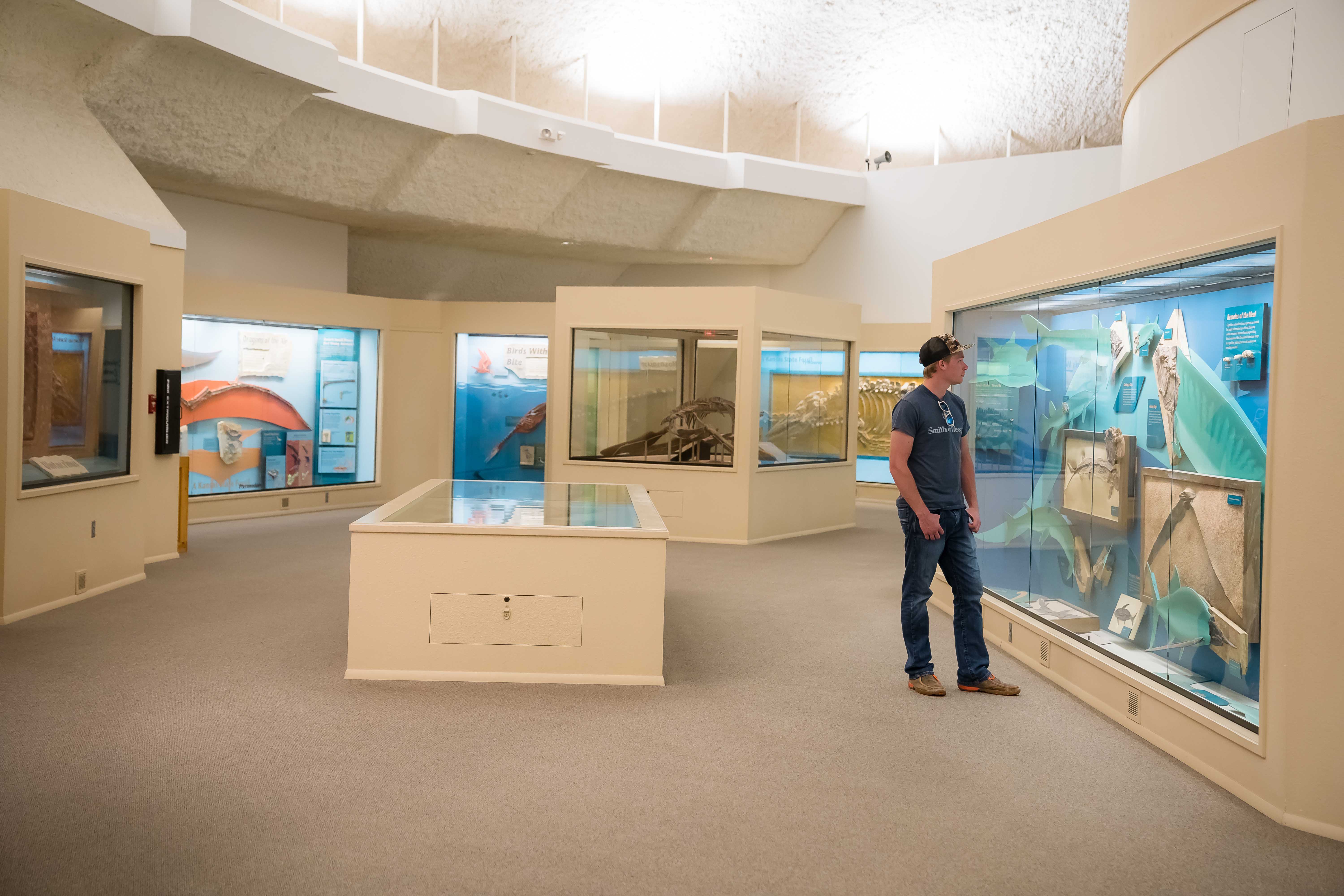 What's Inside Natural History Building? Explore Exhibits