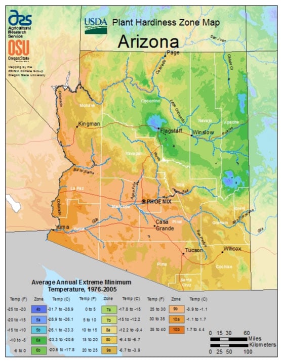 When Is U Of Arizona Calendar Available? Key Dates