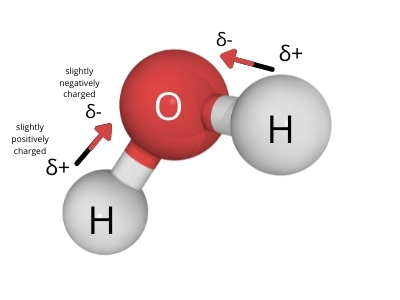 Why Is H2o Polar? Easy Explanation