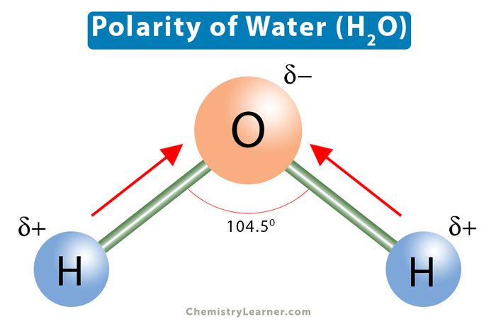 Why Is Water Polar? Understanding Properties