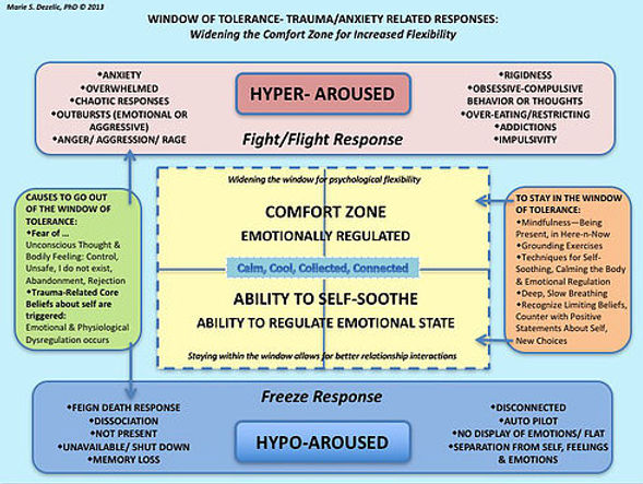 Window Of Tolerance Trauma Anxiety Related Responses